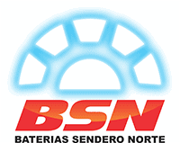 BSN logo