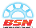 BSN LOGO